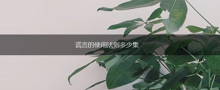 谎言的使用法则多少集,第1张