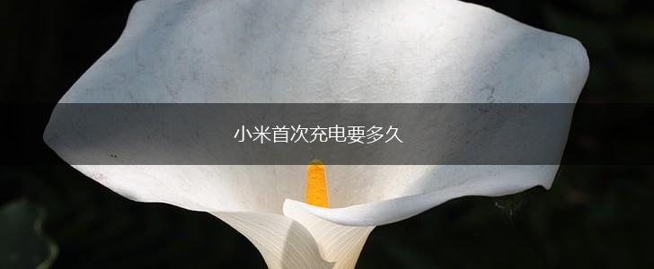 小米首次充电要多久,第1张