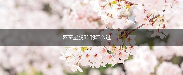 密室逃脱31的怎么过,第1张