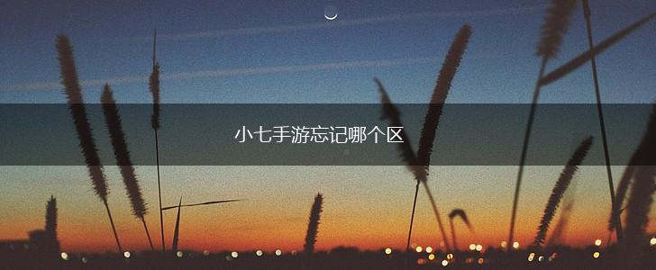 小七手游忘记哪个区,第1张
