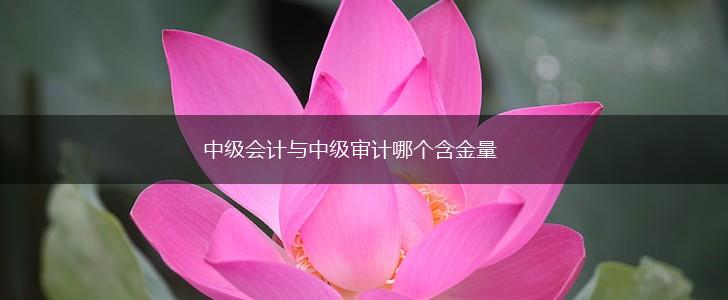 中级会计与中级审计哪个含金量,第1张