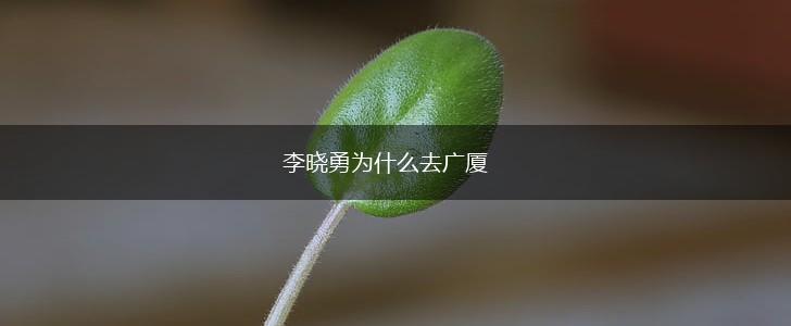 李晓勇为什么去广厦,第1张