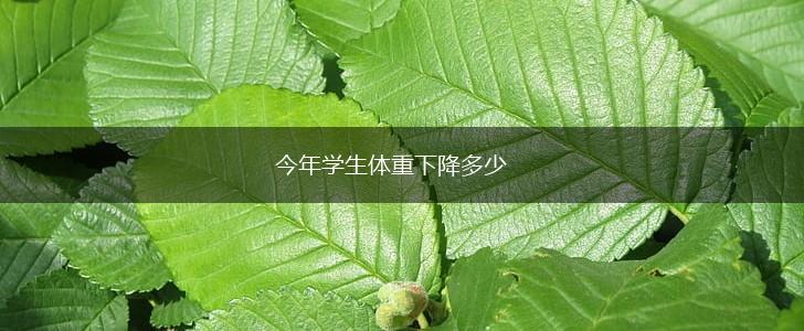 今年学生体重下降多少,第1张