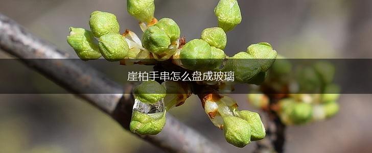 崖柏手串怎么盘成玻璃,第1张