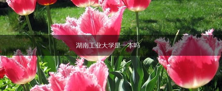 湖南工业大学是一本吗,第1张