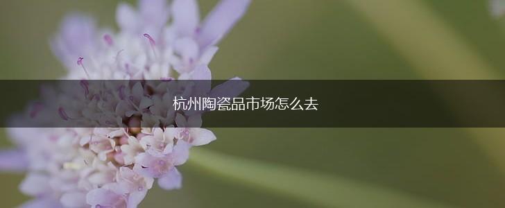 杭州陶瓷品市场怎么去,第1张