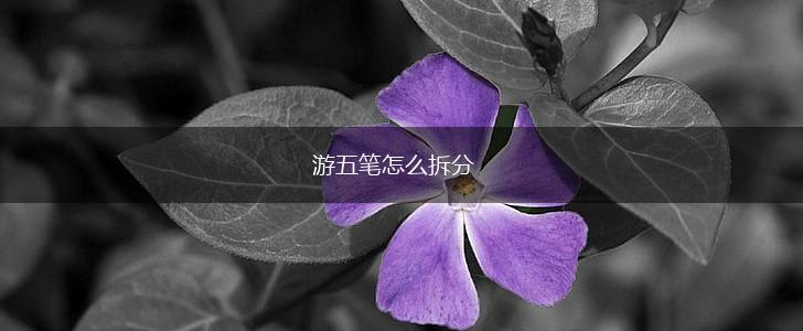 游五笔怎么拆分,第1张