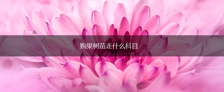 购果树苗走什么科目,第1张