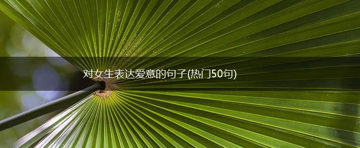 对女生表达爱意的句子(热门50句),第1张