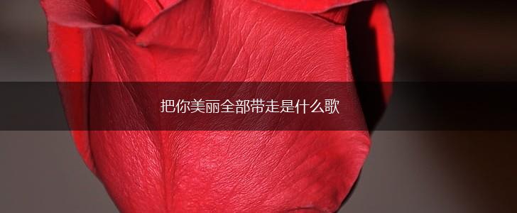把你美丽全部带走是什么歌,第1张