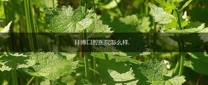 拜博口腔医院怎么样,第1张