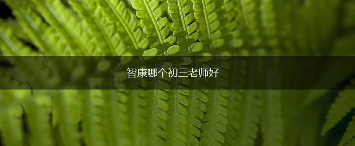 智康哪个初三老师好,第1张