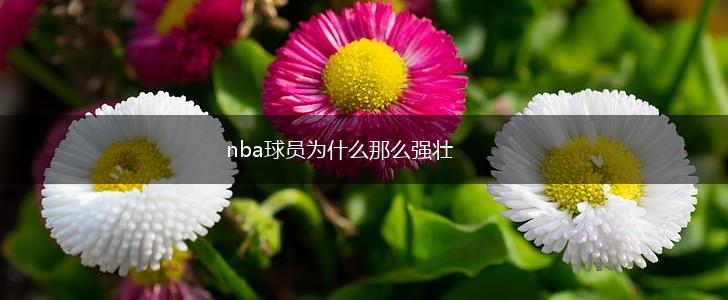 nba球员为什么那么强壮,第1张