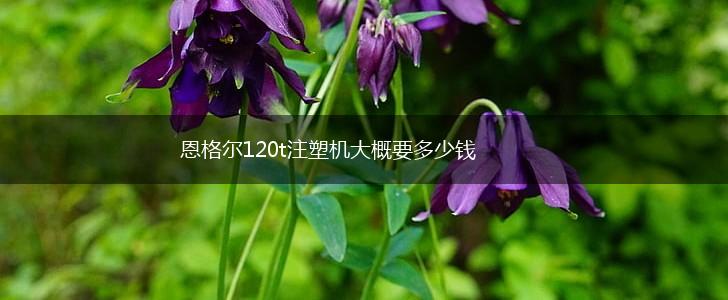 恩格尔120t注塑机大概要多少钱,第1张