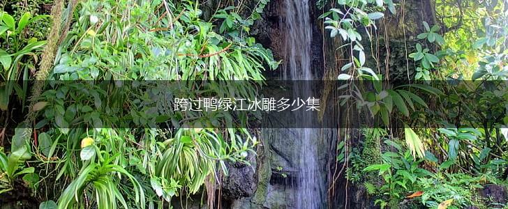 跨过鸭绿江冰雕多少集,第1张