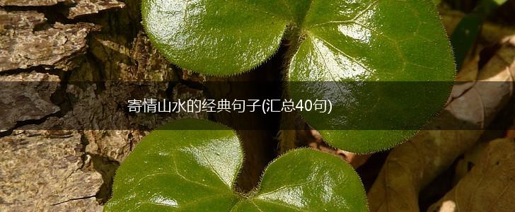 寄情山水的经典句子(汇总40句),第1张