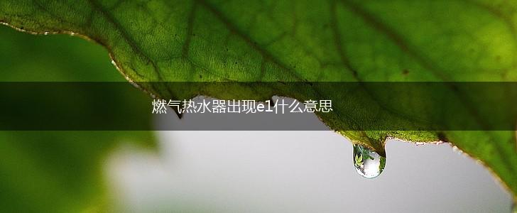 燃气热水器出现e1什么意思,第1张