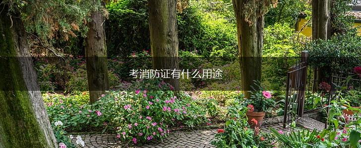 考消防证有什么用途,第1张