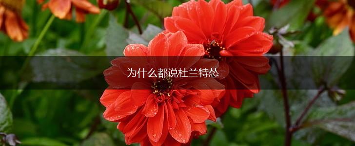 为什么都说杜兰特怂,第1张