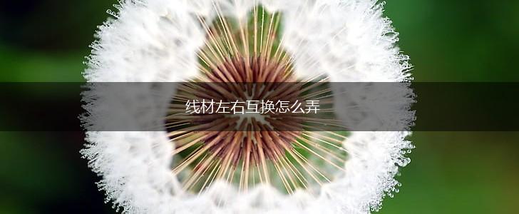 线材左右互换怎么弄,第1张