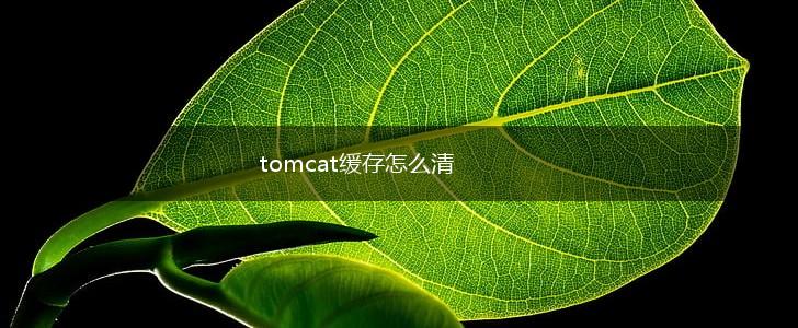 tomcat缓存怎么清,第1张