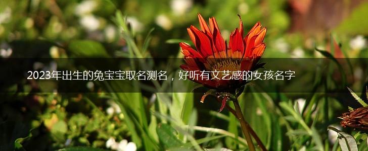 2023年出生的兔宝宝取名测名，好听有文艺感的女孩名字,第1张