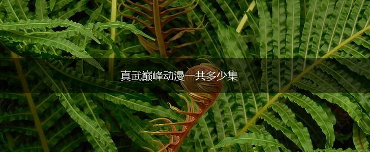 真武巅峰动漫一共多少集,第1张