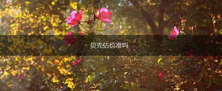 贝壳估价准吗,第1张