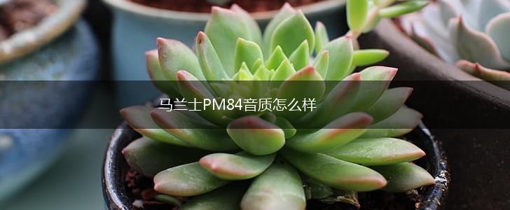 马兰士PM84音质怎么样,第1张