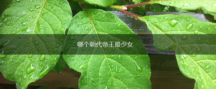 哪个朝代帝王最少女,第1张