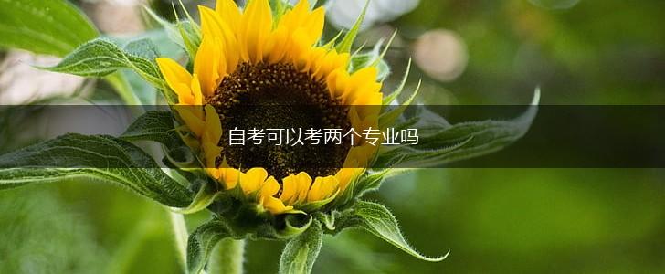 自考可以考两个专业吗,第1张