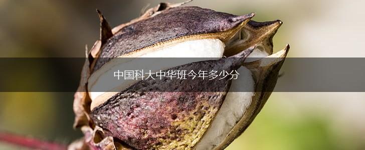 中国科大中华班今年多少分,第1张