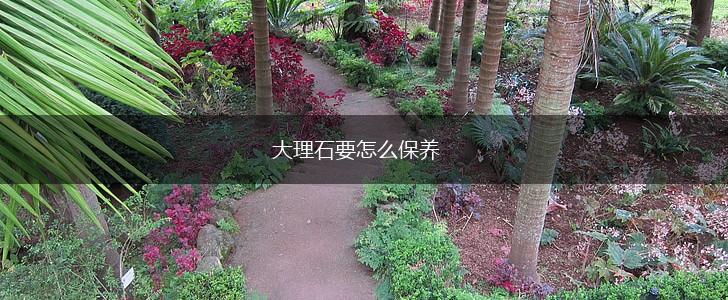 大理石要怎么保养,第1张