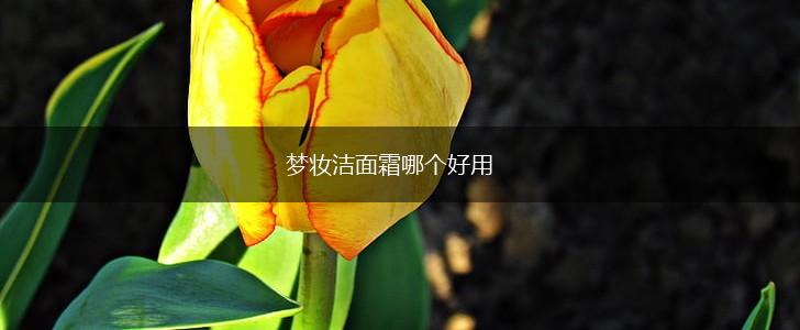 梦妆洁面霜哪个好用,第1张