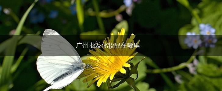广州批发化妆品在哪里,第1张