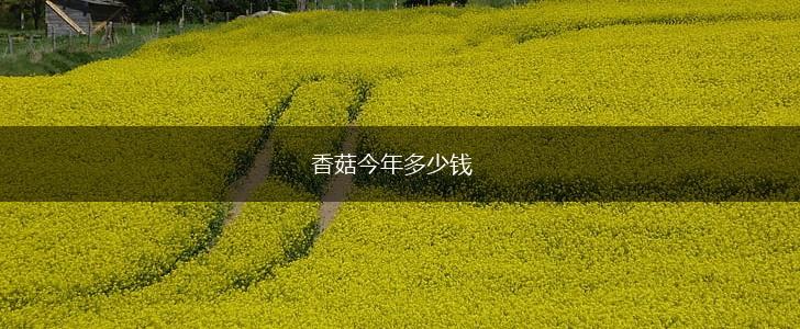 香菇今年多少钱,第1张