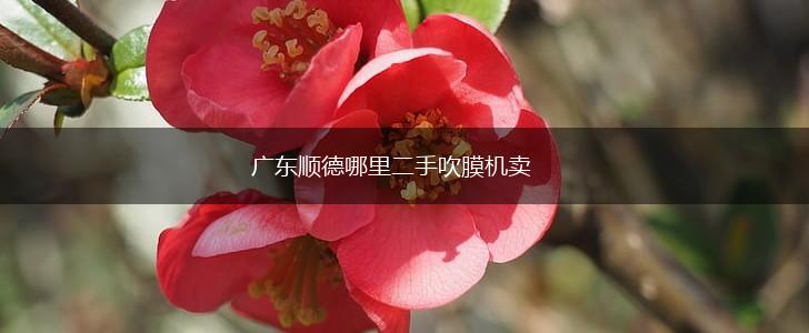 广东顺德哪里二手吹膜机卖,第1张