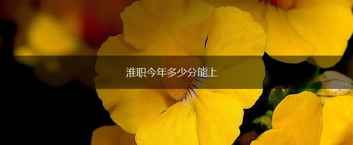 淮职今年多少分能上,第1张