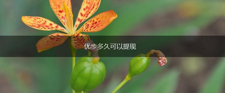 优步多久可以提现,第1张