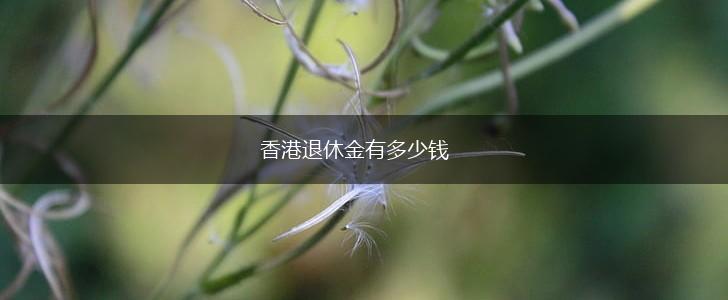 香港退休金有多少钱,第1张