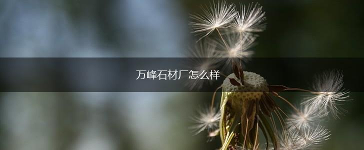 万峰石材厂怎么样,第1张