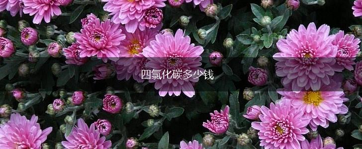 四氯化碳多少钱,第1张