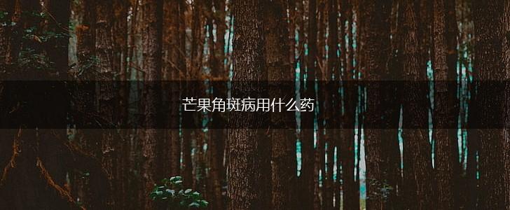 芒果角斑病用什么药,第1张