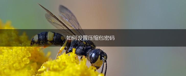 如何设置压缩包密码,第1张