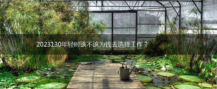 2023130年轻时该不该为钱去选择工作?,第1张 2023130年轻时该不该为钱去选择工作?,第1张