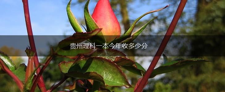 贵州理科一本今年收多少分,第1张