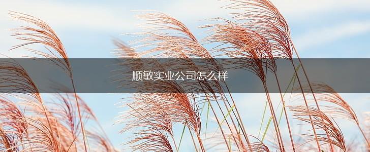 顺敏实业公司怎么样,第1张