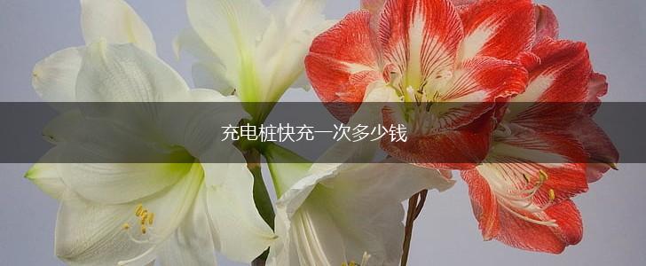 充电桩快充一次多少钱,第1张