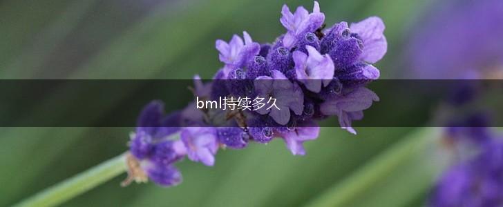 bml持续多久,第1张