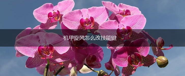 机甲旋风怎么改技能键,第1张